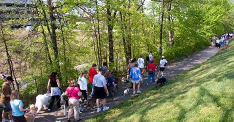 Tails On Trails Dog Walk | Pet Fiesta | Reston VA